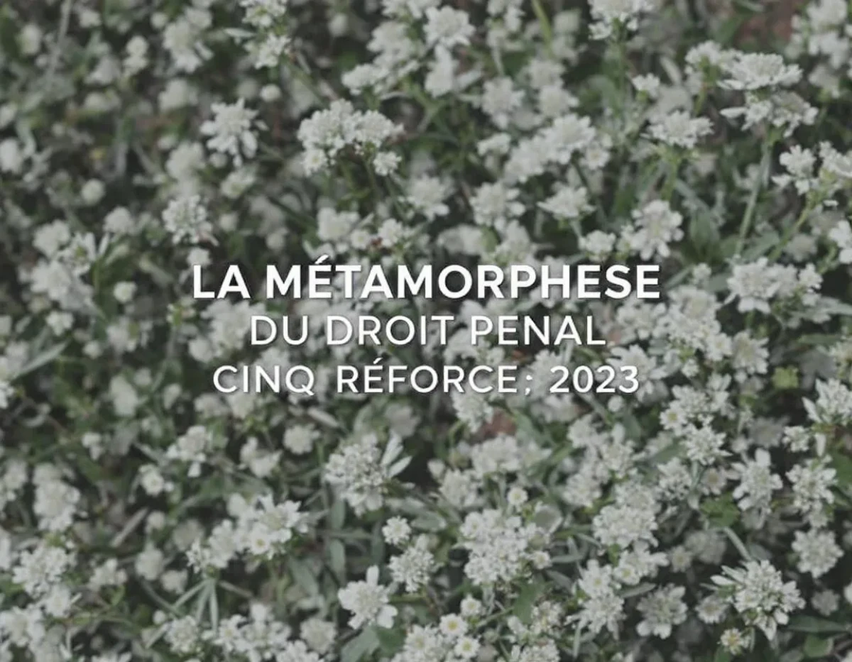 La Métamorphose du Droit Pénal Français : Cinq Réformes Déterminantes de 2023